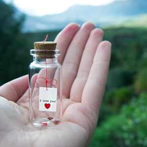 Je t'aime. Je t'aime. Je t'aime. Message dans une bouteille. Miniatures. Cadeau personnalisé. Carte postale d'amour drôle.
