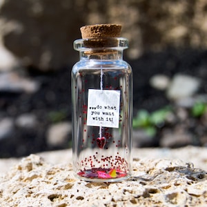 Personalized gift / do what you want with it! Message in a bottle Miniatures Personalised Gift Gift for him Valentine Mature Gift