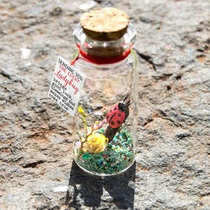 Good luck gift Best of luck little Ladybug luck New job Bug message in a bottle Miniatures Personalised Gift blessing fortune sending luck Lucky-wishesComeTrue