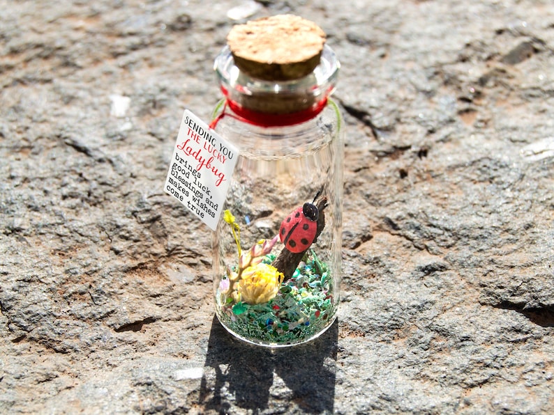 Good luck gift Best of luck little Ladybug luck New job Bug message in a bottle Miniatures Personalised Gift blessing fortune sending luck Lucky-wishesComeTrue