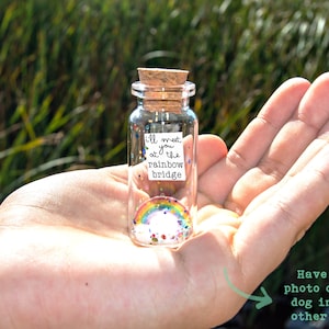 Dog Memorial, Pet Loss Gift, Pet Picture, Cat Memorial, Passing Pet, Rainbow Dog I'll Meet You at The Rainbow Bridge Dog Message in Bottle image 2