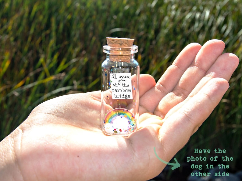 Dog Memorial, Pet Loss Gift, Pet Picture, Cat Memorial, Passing Pet, Rainbow Dog I'll Meet You at The Rainbow Bridge Dog Message in Bottle image 2