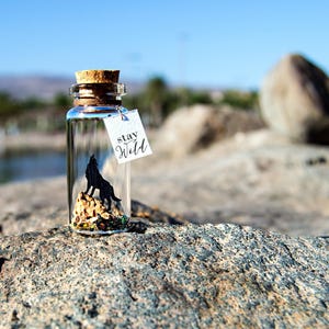 Wolf Gift Message In A Bottle - Romantic Couple Keepsake, Custom Text Option, Mini Glass, Display Ready