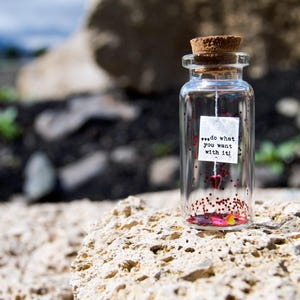 Personalized gift / do what you want with it! Message in a bottle Miniatures Personalised Gift Gift for him Valentine Mature Gift
