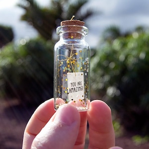 You are amazing - wonderful - beautiful - fantastic - incredible - the one...! Tiny message in a bottle. Miniatures. Personalised Gift.
