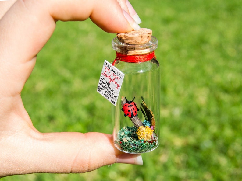 Good luck gift Best of luck little Ladybug luck New job Bug message in a bottle Miniatures Personalised Gift blessing fortune sending luck image 1