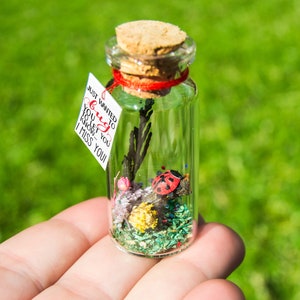 Good luck gift Best of luck little Ladybug luck New job Bug message in a bottle Miniatures Personalised Gift blessing fortune sending luck BugYou...I miss you!