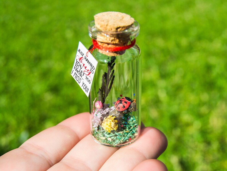 Good luck gift Best of luck little Ladybug luck New job Bug message in a bottle Miniatures Personalised Gift blessing fortune sending luck BugYou...I miss you!