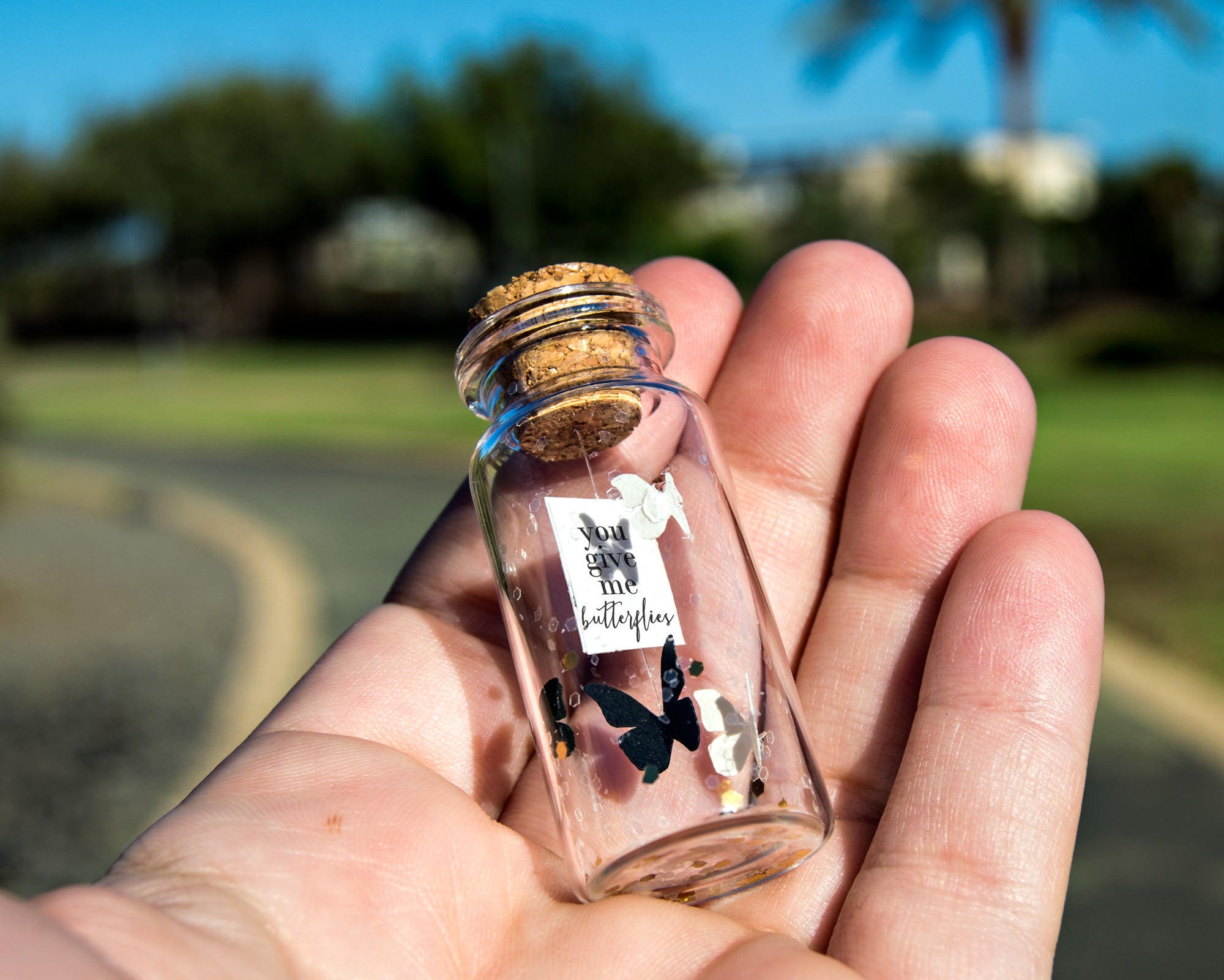 Butterflies in a jar. Anniversary Gift Butterflies gift Gift Etsy