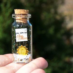 Sunshine gift You are my Sunshine Personalized Gift for Boyfriend Gift for Him Gift for Girlfriend Romantic Gift Lesbian gift Boyfriend Gift