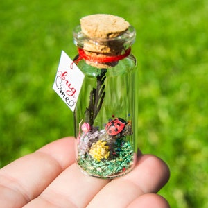 Good luck gift Best of luck little Ladybug luck New job Bug message in a bottle Miniatures Personalised Gift blessing fortune sending luck image 6
