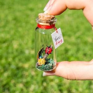 Ladybug gift for girlfriend Personalized gift for boyfriend Anniversary gift for Him Bug Love Message in bottle Gift Valentine&#39;s day gifts