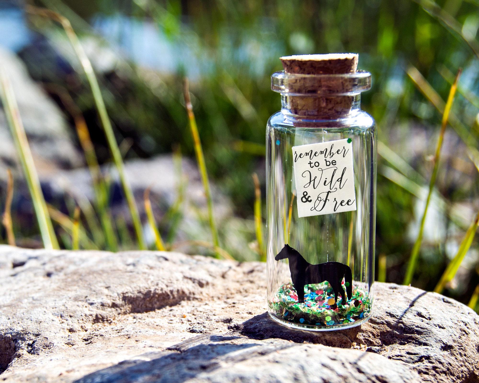 Horse Card -  Wild & free. Make it happen. Boyfriend Gift. Message in a bottle. Miniatures. Personalised Gift. Funny Card. Motivational Card