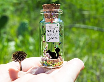 Valentine’s Gift - Squirrel gift Personalized Gift for girlfriend for boyfriend - I'm nuts about you Message in a bottle - Valentine's Card