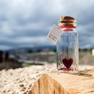 Tu as mon cœur. Je t'aime. Message dans une bouteille. Miniatures. Cadeau personnalisé. Carte d'amour humoristique.