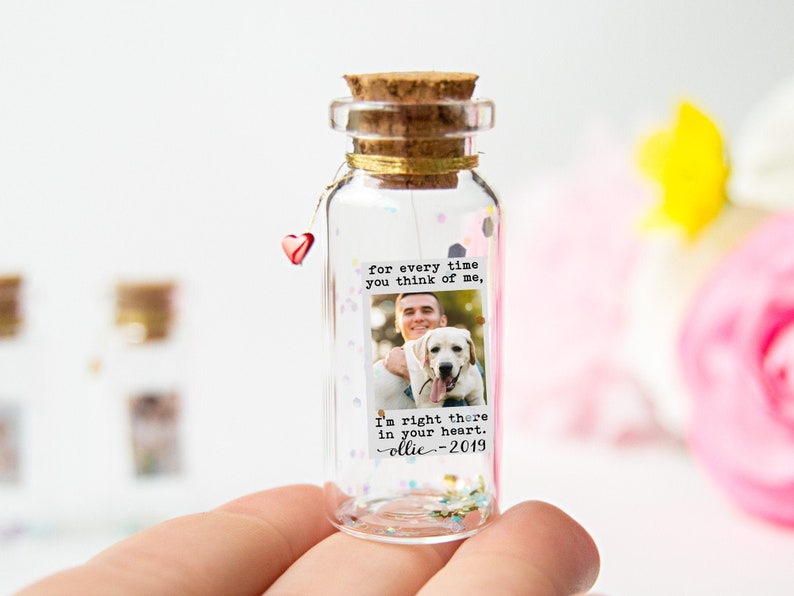 Pet Loss Pet Memorial Cat Memorial Pet Memorial Message in a Bottle Cat Loss Pet Sympathy Gift Dog Loss Frame Rainbow Bridge Passing Dog Pet image 1