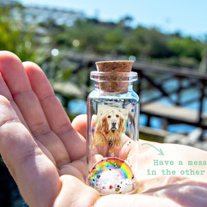 Dog Memorial, Pet Loss Gift, Pet Picture, Cat Memorial, Passing Pet, Rainbow Dog I'll Meet You at The Rainbow Bridge Dog Message in Bottle image 4