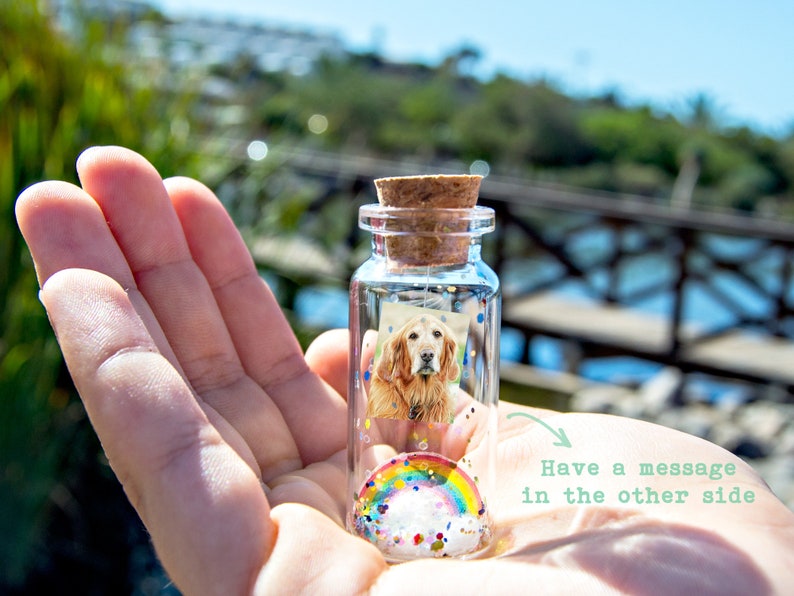 Dog Memorial, Pet Loss Gift, Pet Picture, Cat Memorial, Passing Pet, Rainbow Dog I'll Meet You at The Rainbow Bridge Dog Message in Bottle image 4