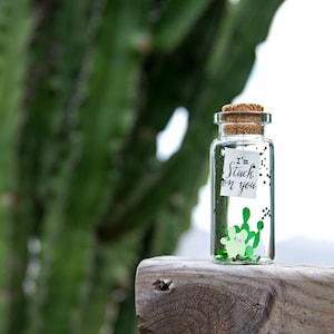 Cactus Gift Stuck on you Personalized gift Succulent Gift Personalised Gift Anniversary Gift for Him Lesbian Gift for girlfriend Miss you