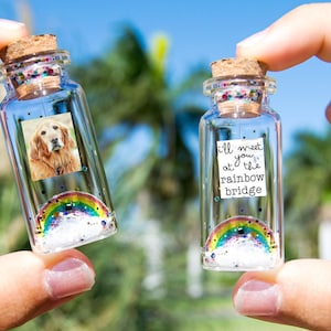 Dog Memorial, Pet Loss Gift, Pet Picture, Cat Memorial, Passing Pet, Rainbow Dog I&#39;ll Meet You at The Rainbow Bridge Dog Message in Bottle