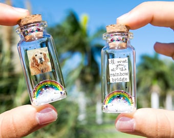 Dog Memorial, Pet Loss Gift, Pet Picture, Cat Memorial, Passing Pet, Rainbow Dog I&#39;ll Meet You at The Rainbow Bridge Dog Message in Bottle