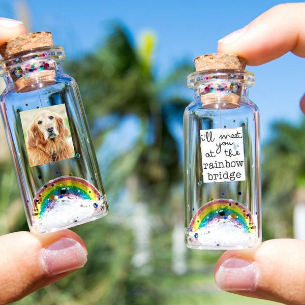 Dog Memorial, Pet Loss Gift, Pet Picture, Cat Memorial, Passing Pet, Rainbow Dog I'll Meet You at The Rainbow Bridge Dog Message in Bottle