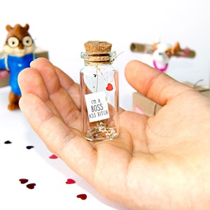 Sono una stronza del capo. Messaggio in una bottiglia. Miniature. Regalo personalizzato. Messaggio motivazionale. Messaggio ispiratore.