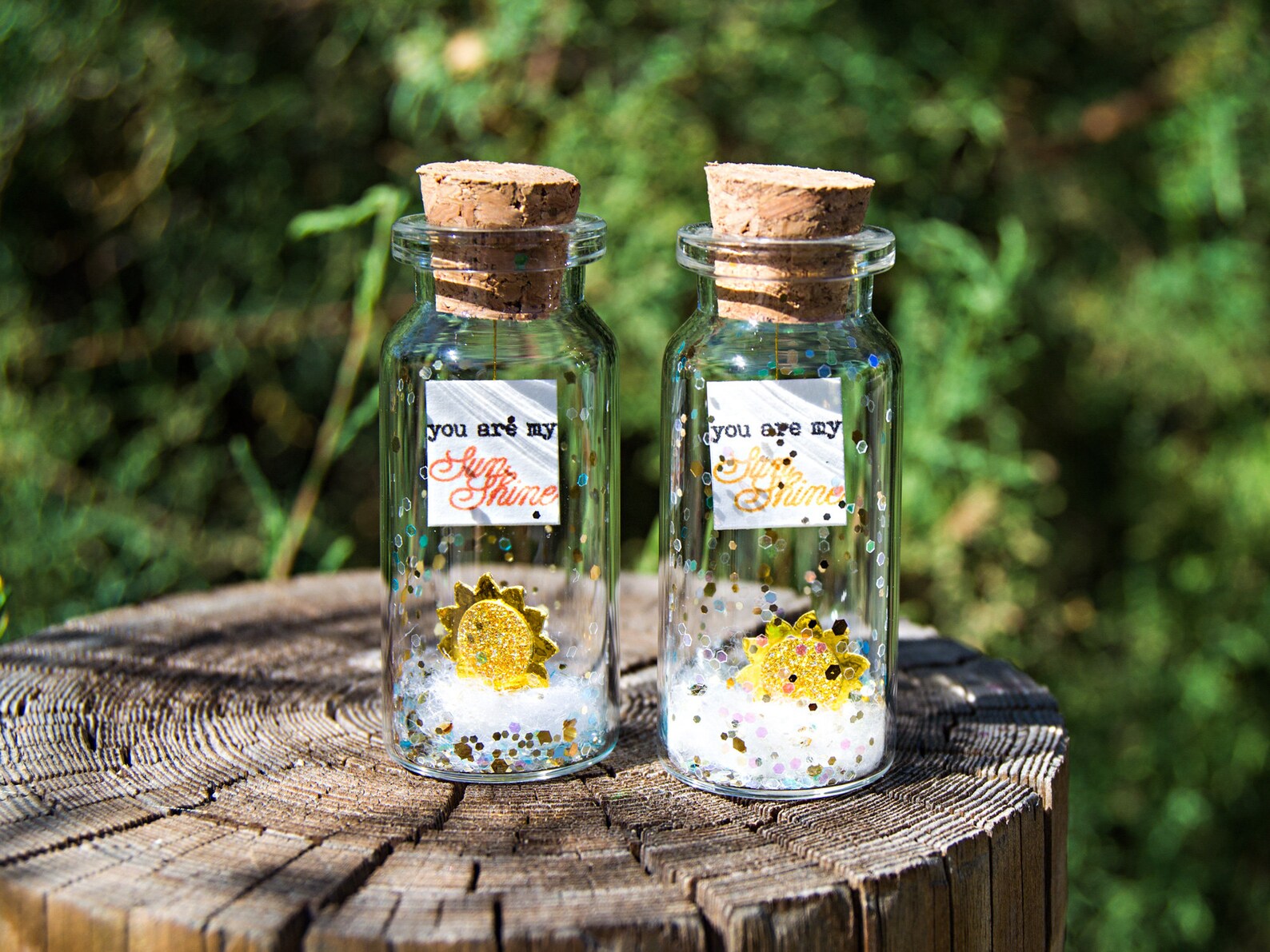 Birthday Gift for Girlfriend You Are My Sunshine Etsy