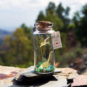 Valentines Day Gift for Boyfriend Dinosaur Gift Rawr means I love you in Dinosaur. Message in a bottle Personal Valentine&#39;s Day Mother&#39;s Day