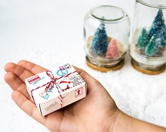 White Christmas Gift Box for Message in a Bottle Personalized Gift Tiny Postal Package thoughtful Packaging World’s Smallest package for Her