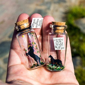 Horse Gift. Unique gift Horse. Make it happen. Wild & free Message in a bottle. Miniatures. Personalised Gift. Funny Card. Motivational Card image 5