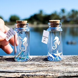 Valentines Gift - Seahorse Gift You will forever be my always Thinking of you. Message in a bottle. Unique Love Card. Special greeting card.