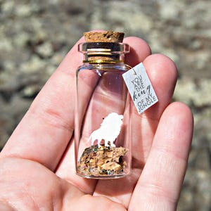 Lion King Gift Message In Bottle: Personalized Valentines Keepsake, Love You More Theme | Natural Pine Frame, Custom Text | 5cm Display