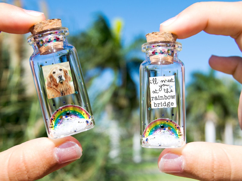 Dog Memorial, Pet Loss Gift, Pet Picture, Cat Memorial, Passing Pet, Rainbow Dog I'll Meet You at The Rainbow Bridge Dog Message in Bottle image 1