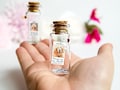 Pet Loss Forever in my heart Pet Memorial Cat Memorial Pet Memorial Message in a Bottle Cat Loss Pet Sympathy Gift Dog Loss Passing Dog Pet product logo