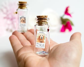 Pet Loss Forever in my heart Pet Memorial Cat Memorial Pet Memorial Message in a Bottle Cat Loss Pet Sympathy Gift Dog Loss Passing Dog Pet