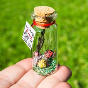 Miss You Gift Keepsake Bottle: Ladybug Love Motif - Handmade Miniature, Personalized Notes, Natural Pine Frame for Long Distance Couples