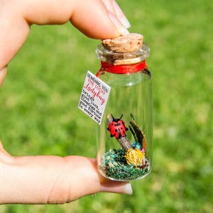 Good luck gift Best of luck little Ladybug luck New job Bug message in a bottle Miniatures Personalised Gift blessing fortune sending luck
