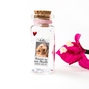 Pet Loss Pet Memorial Cat Memorial Pet Memorial Message in a Bottle Cat Loss Pet Sympathy Gift Dog Loss Frame Rainbow Bridge Passing Dog Pet image 3