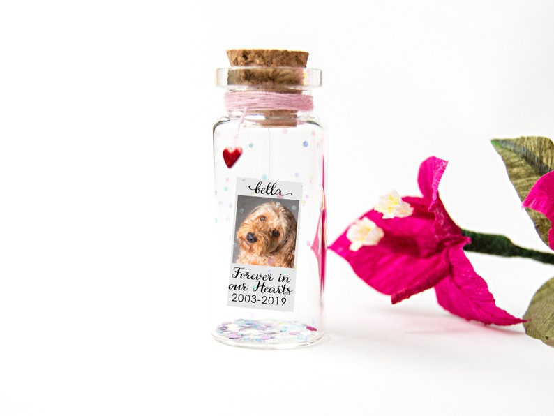 Pet Loss Pet Memorial Cat Memorial Pet Memorial Message in a Bottle Cat Loss Pet Sympathy Gift Dog Loss Frame Rainbow Bridge Passing Dog Pet image 3