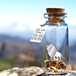 Lion Gift Message in a Bottle: Personalized Love Note, Handmade Keepsake | Mini Glass Bottle, Unique Romantic Gift | 5cm x 2cm