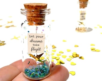 Let your dreams take flight. Motivational gift. Origami plane. Paper plane. Message in a bottle.