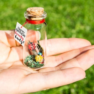 Good luck gift Best of luck little Ladybug luck New job Bug message in a bottle Miniatures Personalised Gift blessing fortune sending luck image 4