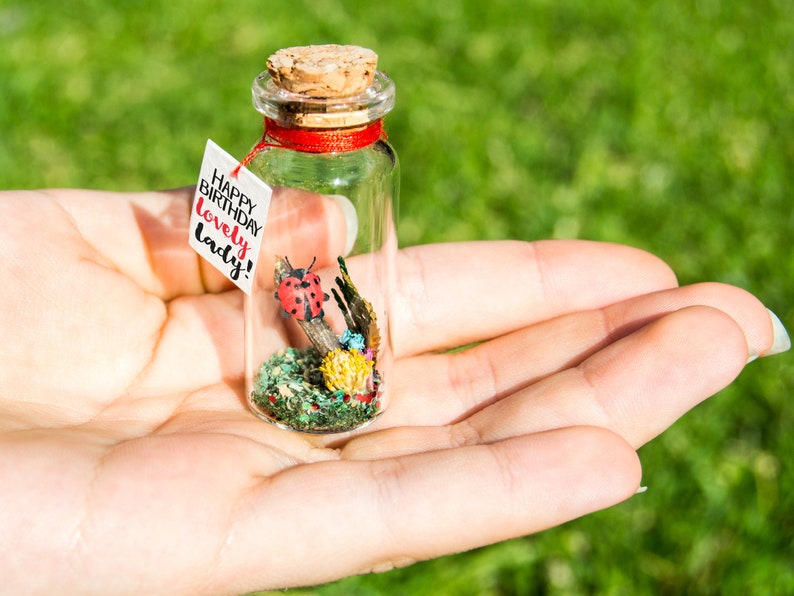 Good luck gift Best of luck little Ladybug luck New job Bug message in a bottle Miniatures Personalised Gift blessing fortune sending luck image 4