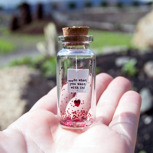 Personalized gift / do what you want with it Message in a bottle Miniatures Personalised Gift Gift for him Valentine Mature Gift image 3