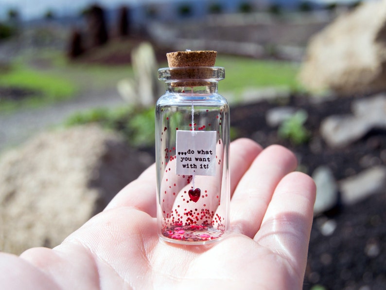 Personalized gift / do what you want with it Message in a bottle Miniatures Personalised Gift Gift for him Valentine Mature Gift image 3