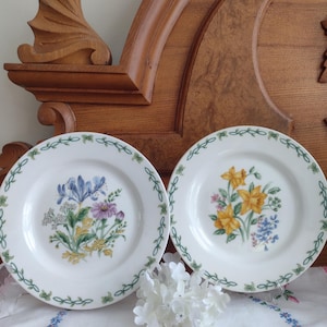 May include: Two white ceramic plates with floral designs. One plate features blue, purple, and yellow flowers, while the other showcases yellow and blue blooms. Both plates have a green vine border.