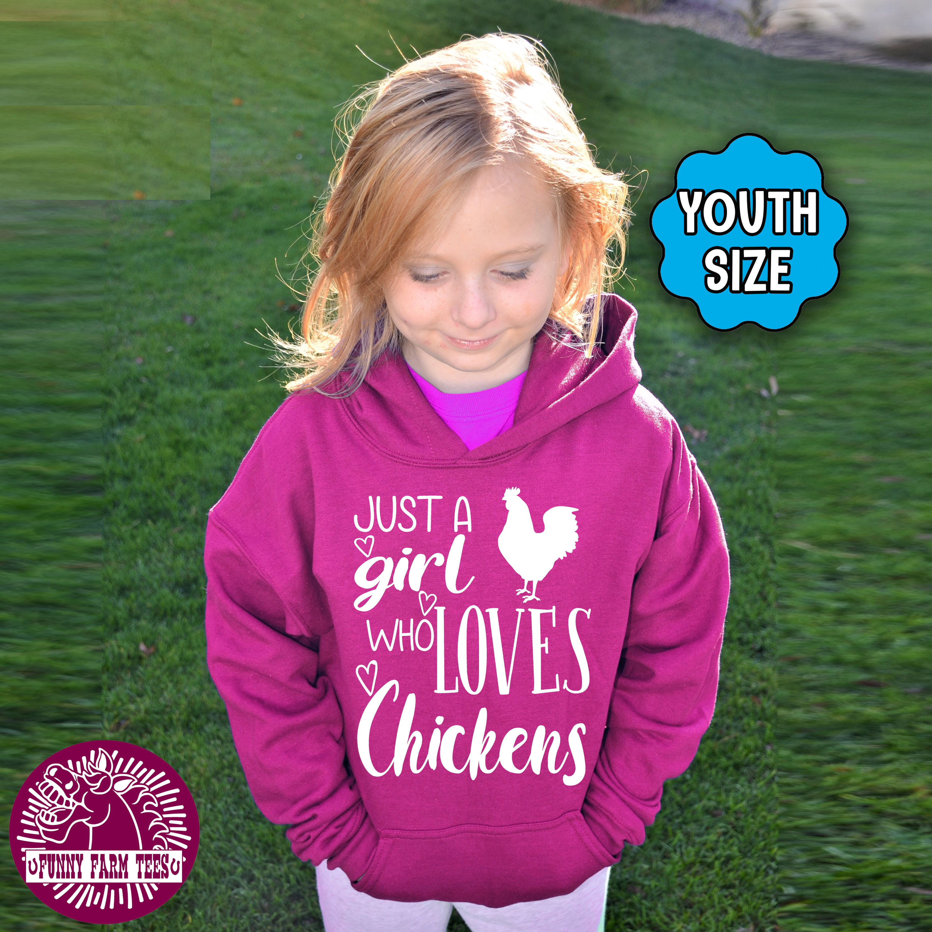 I like my chickens and maybe 3 people hooded sweatshirt screen printed