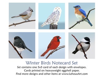 Winter Birds - Note Card Set