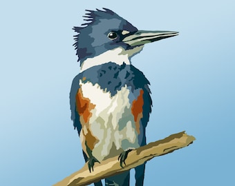 Belted Kingfisher - Bird Art - Graphic Art Print